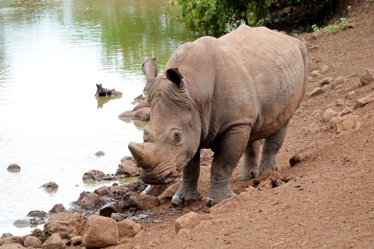 Tau @ Kruger Villa Marloth Park Ngoại thất bức ảnh
