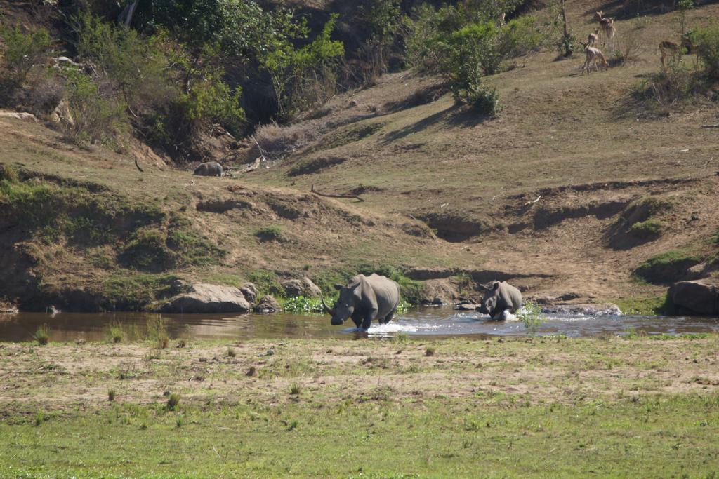 Tau @ Kruger Villa Marloth Park Ngoại thất bức ảnh