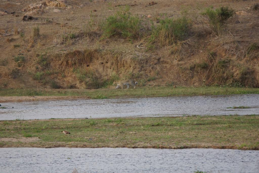 Tau @ Kruger Villa Marloth Park Ngoại thất bức ảnh