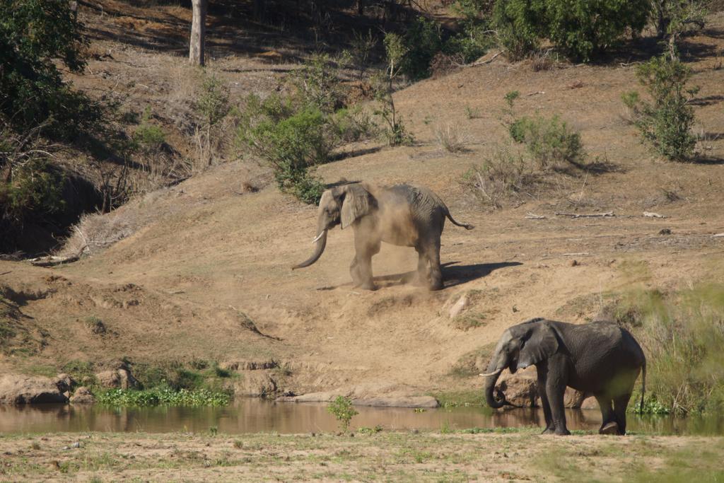 Tau @ Kruger Villa Marloth Park Ngoại thất bức ảnh