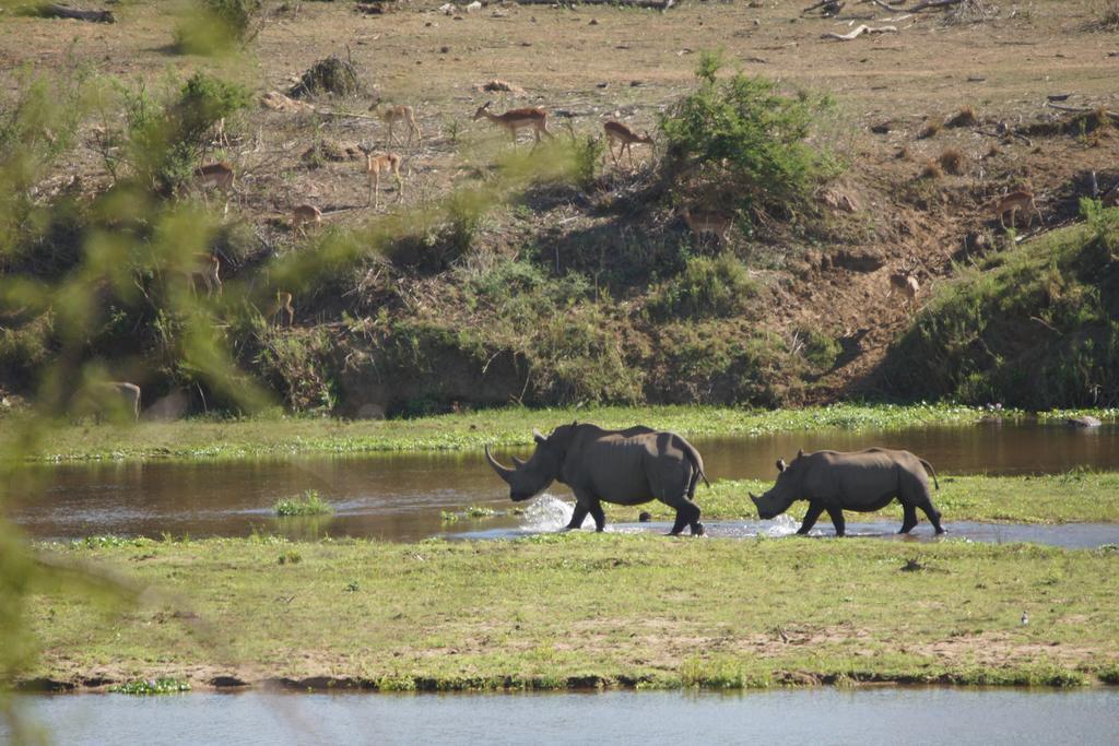 Tau @ Kruger Villa Marloth Park Ngoại thất bức ảnh